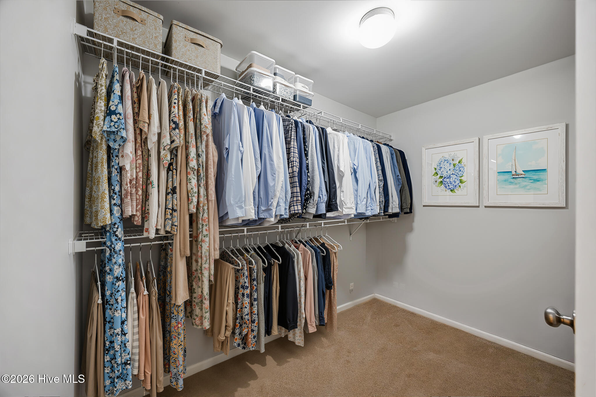 100561855 | Photo 27