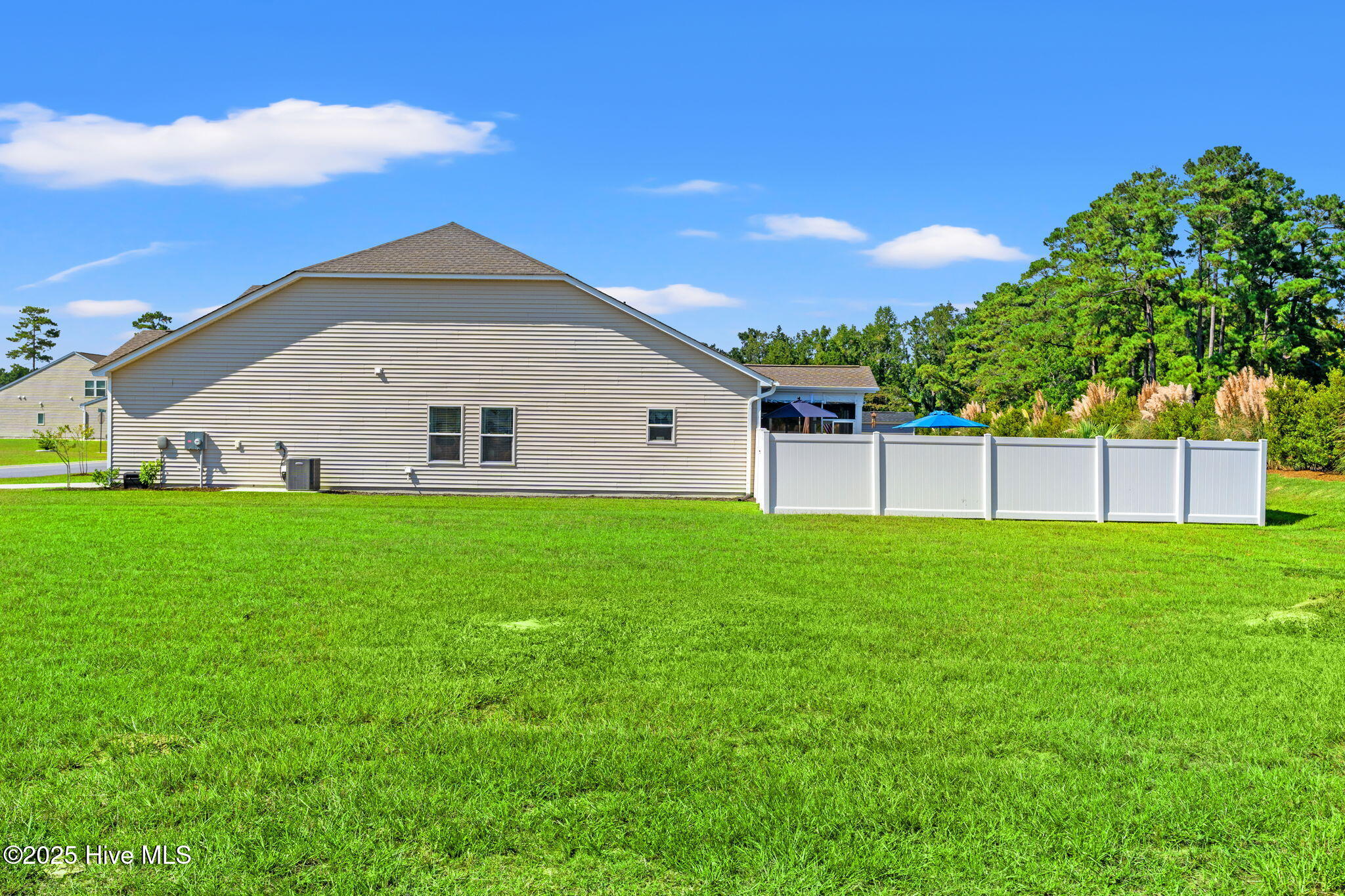 100536885 | Photo 24