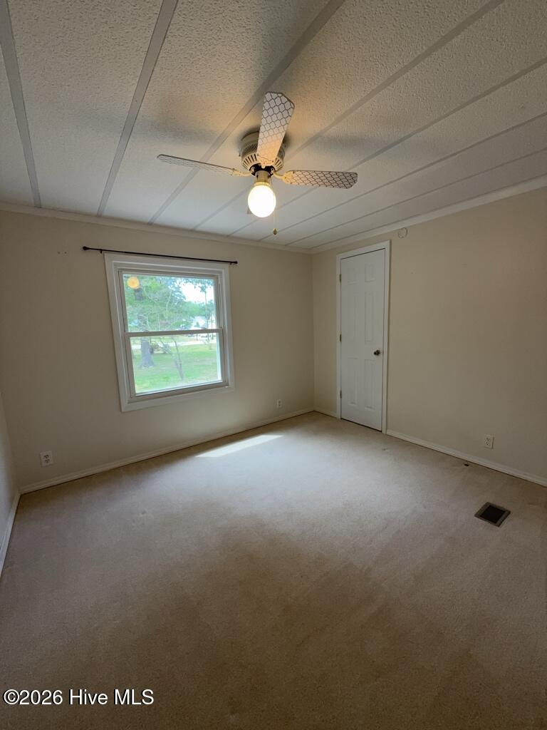 100570094 | Photo 14