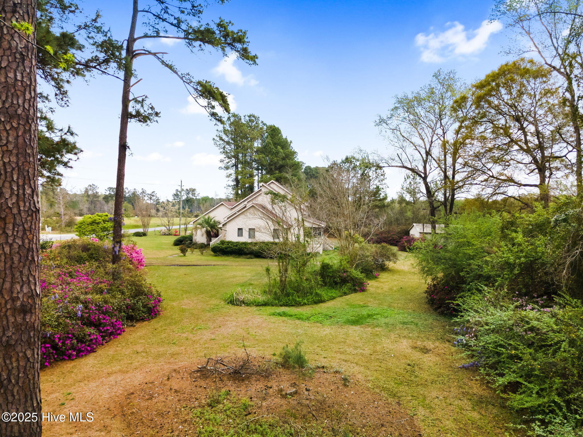 100557688 | Photo 47