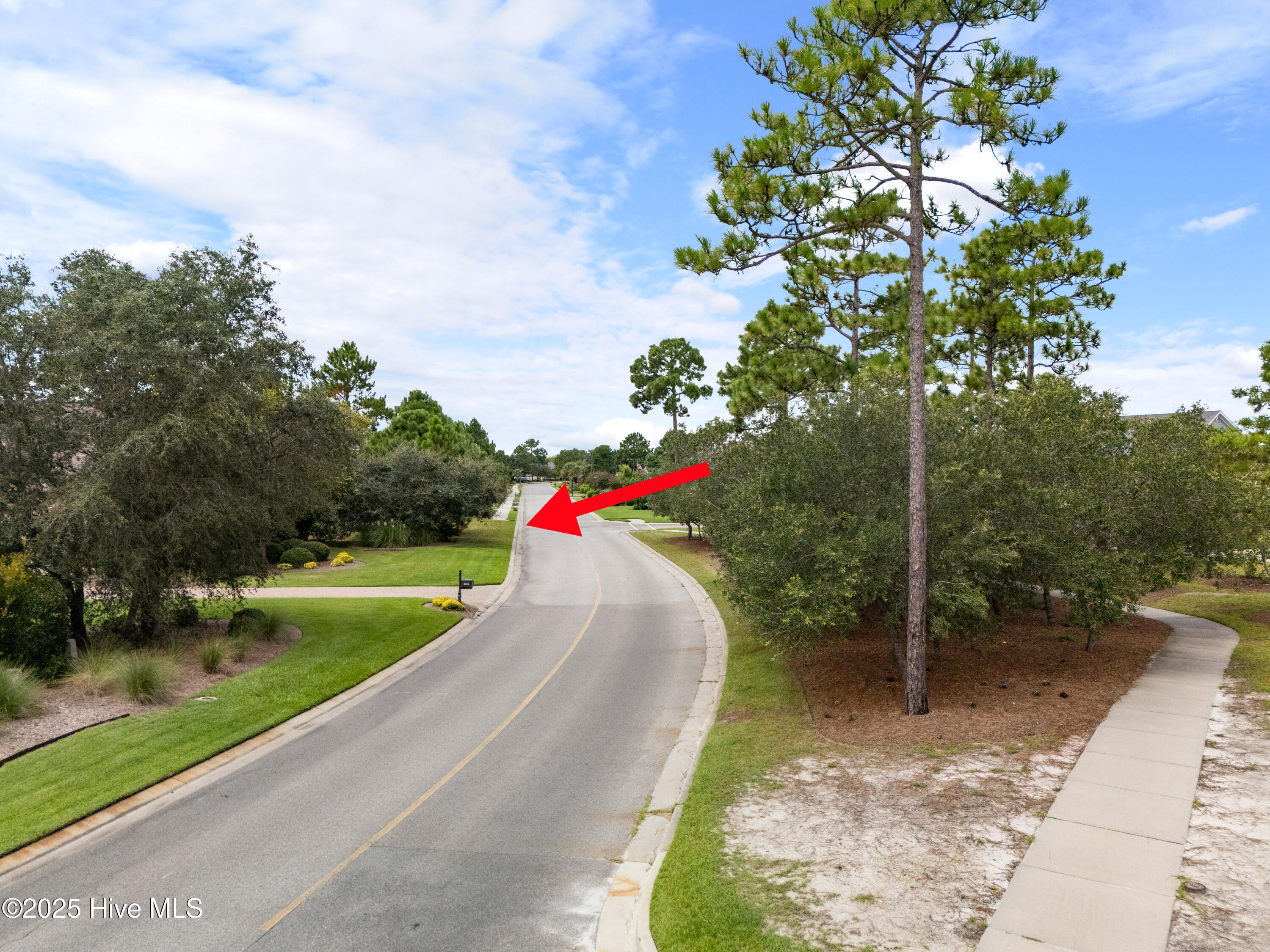 100569790 | Photo 31