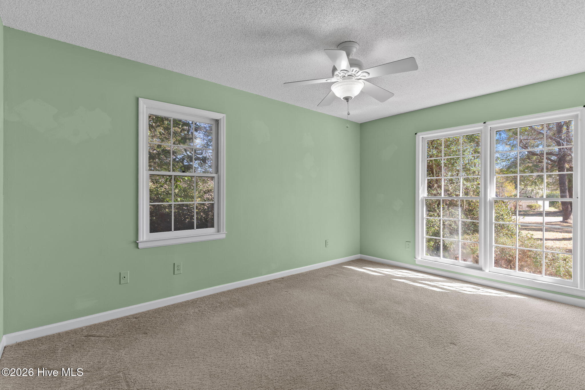 100556740 | Photo 26