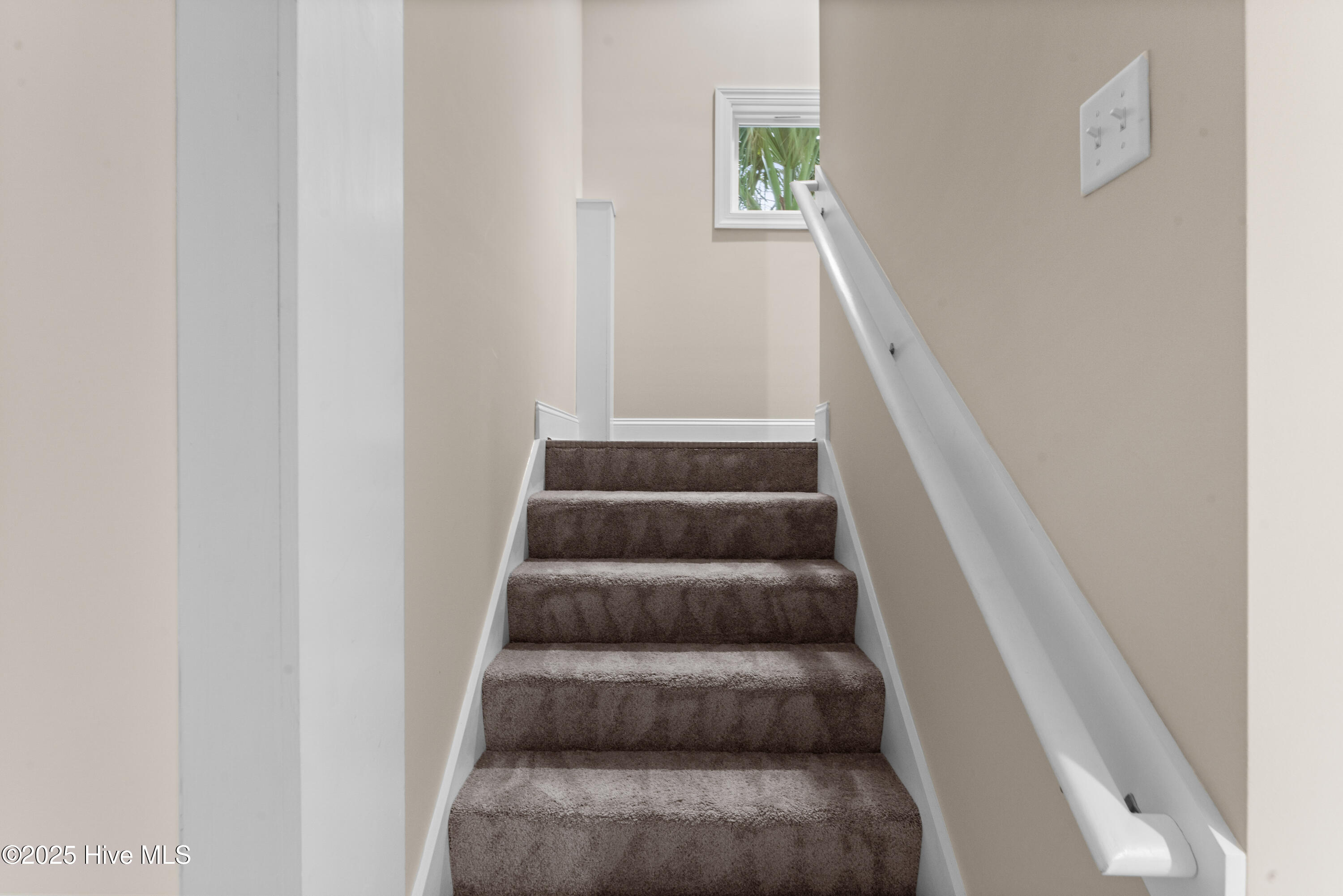 100522807 | Photo 29