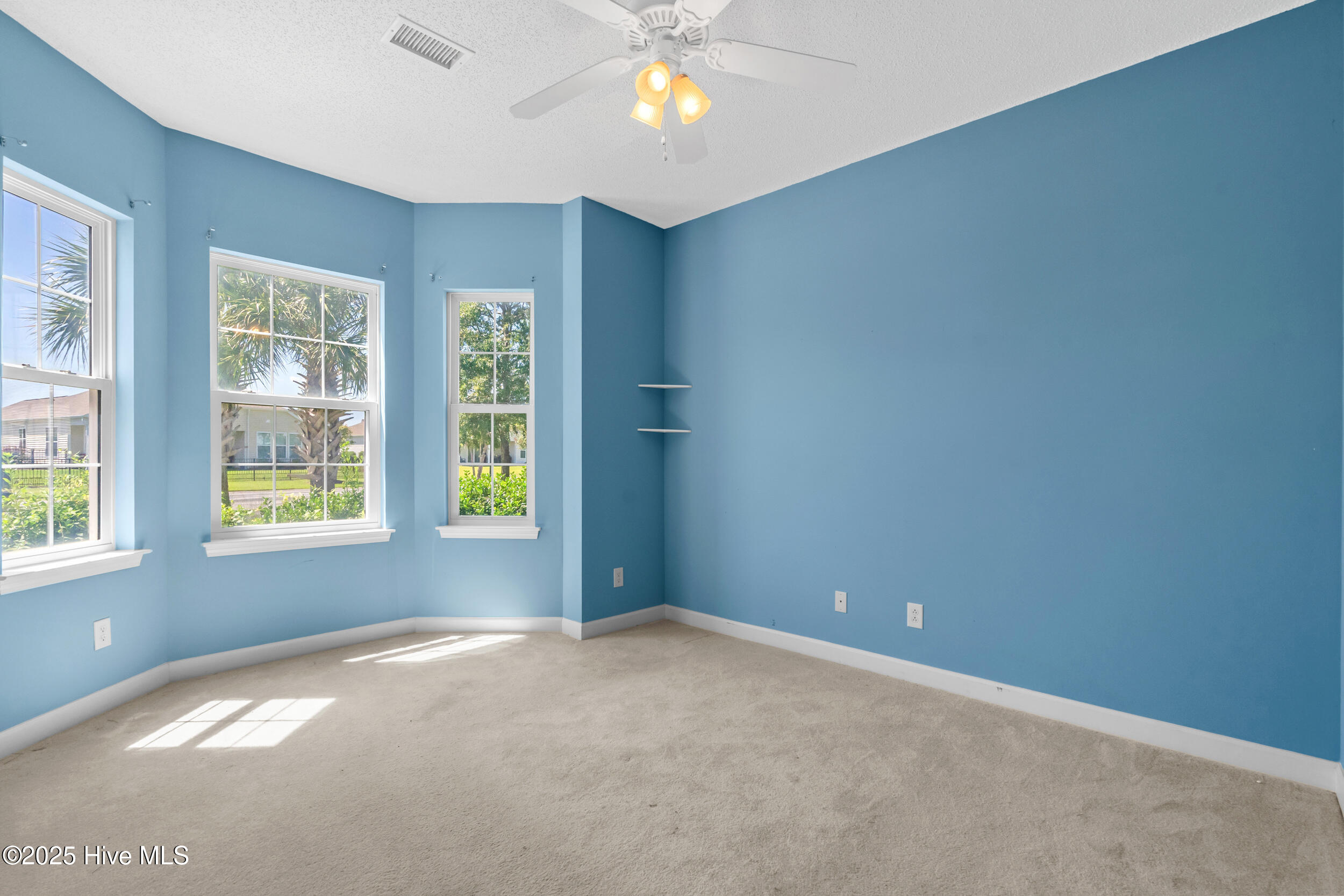 100529171 | Photo 21