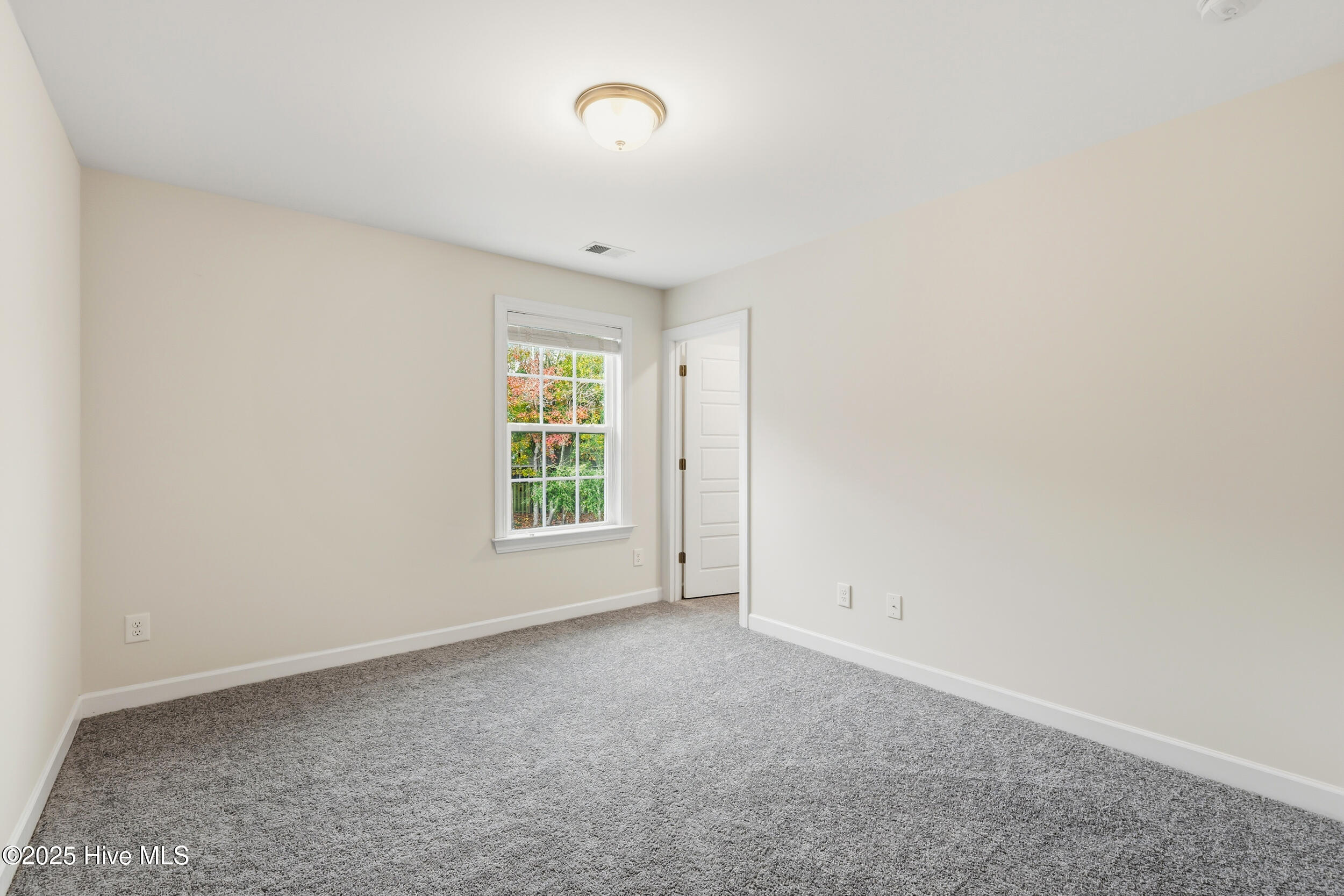 100541614 | Photo 24