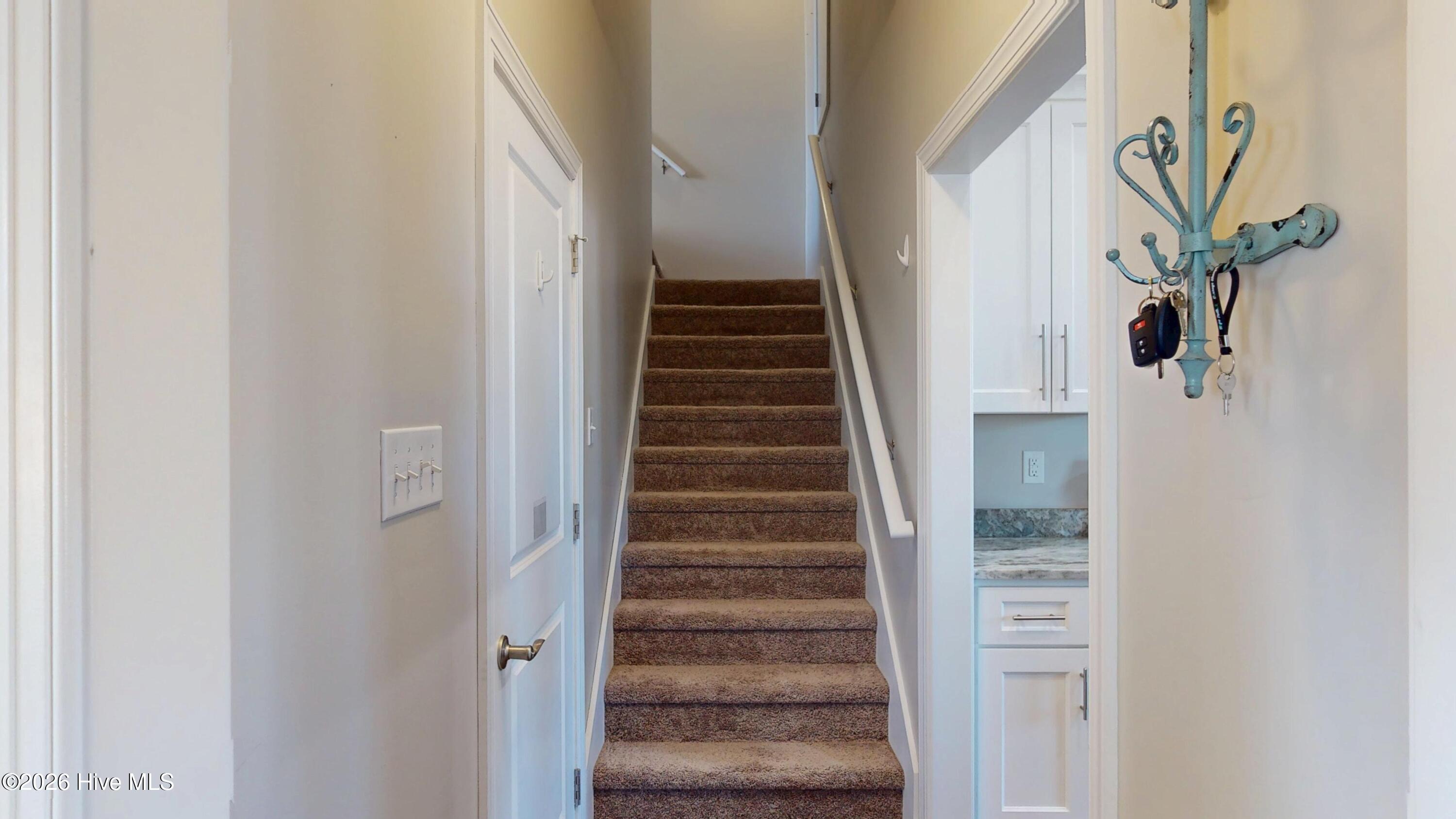 100547102 | Photo 47