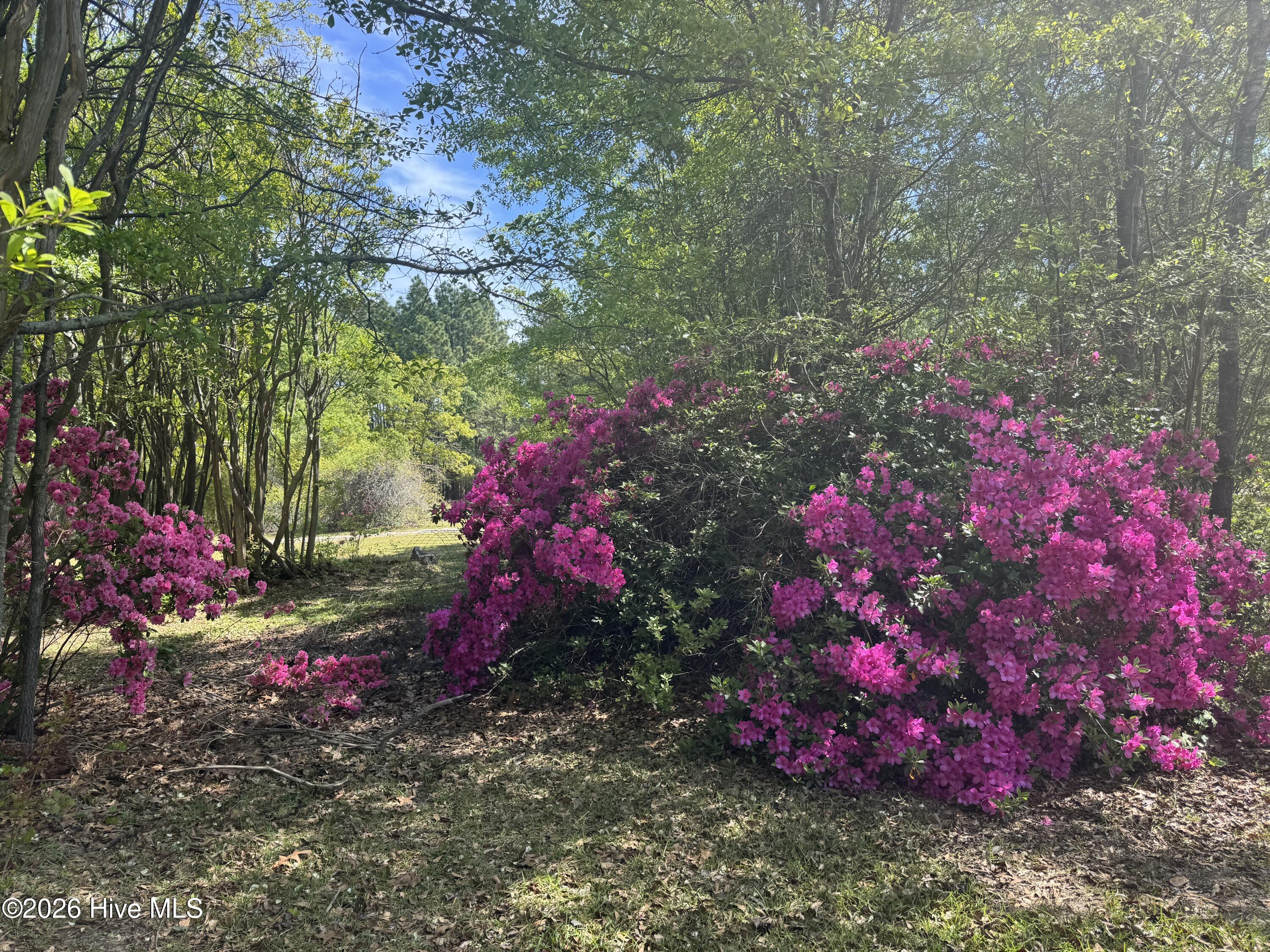 490 Springhill Church Road, Hamlet, NC, 28345