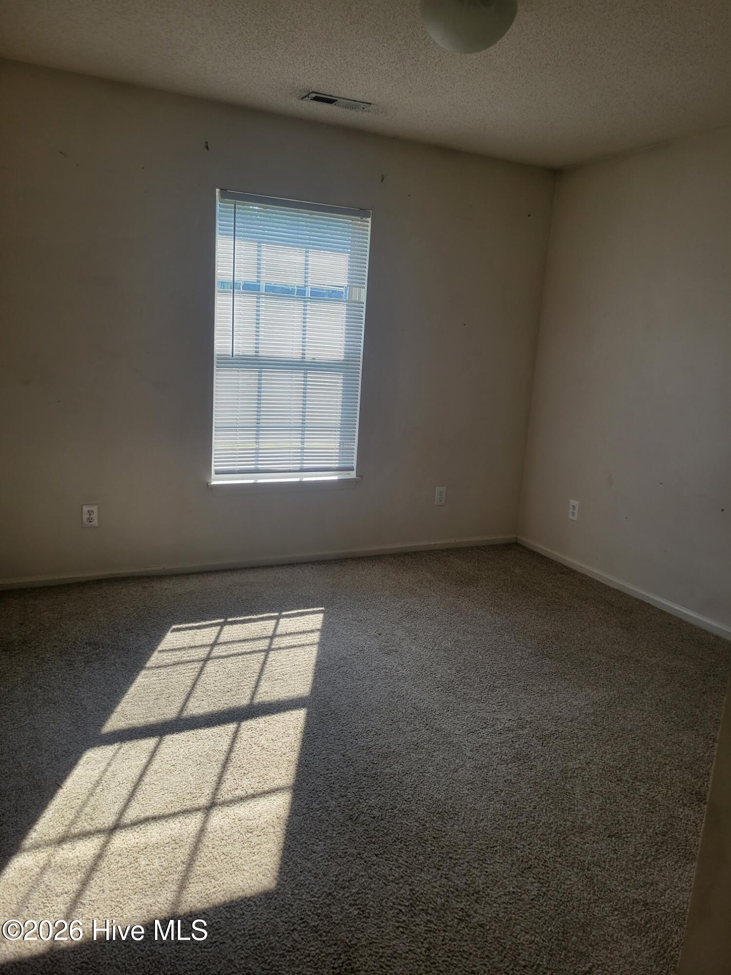 100563127 | Photo 13