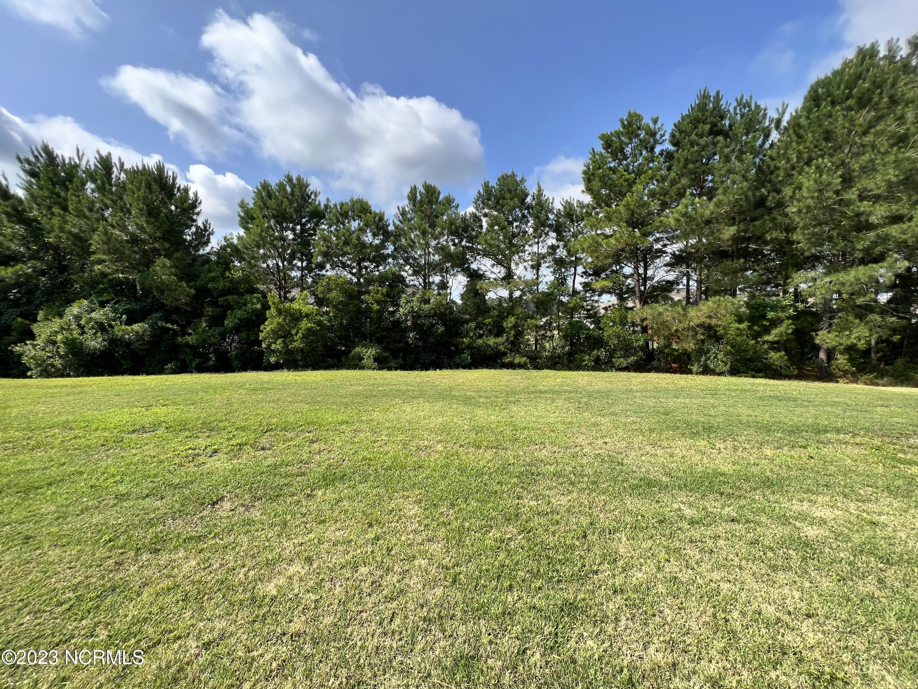 100559213 | Photo 21