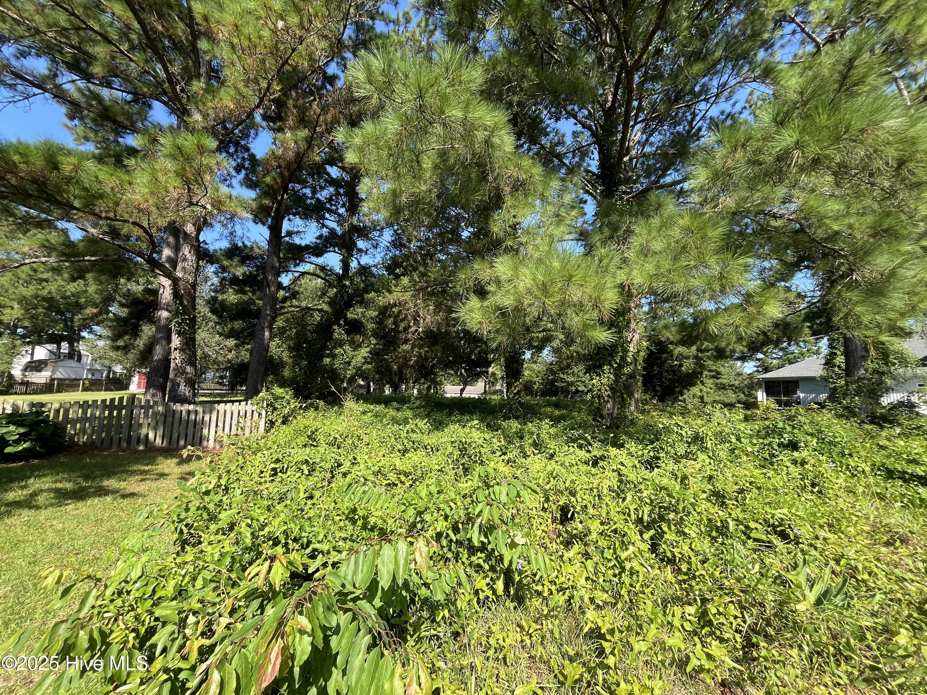 205 Egret Point Drive, Sneads Ferry, NC, 28460