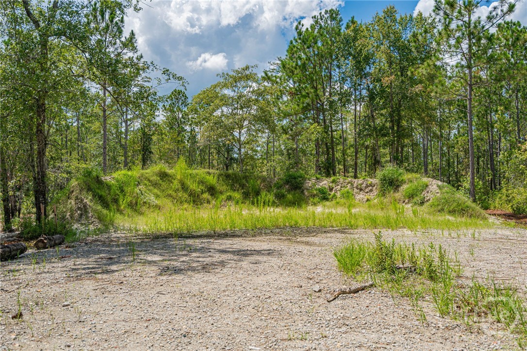 Homes for sale in Guyton, GA | 0 Fourth Ext, Guyton, GA 31312 | MLS# SA335231