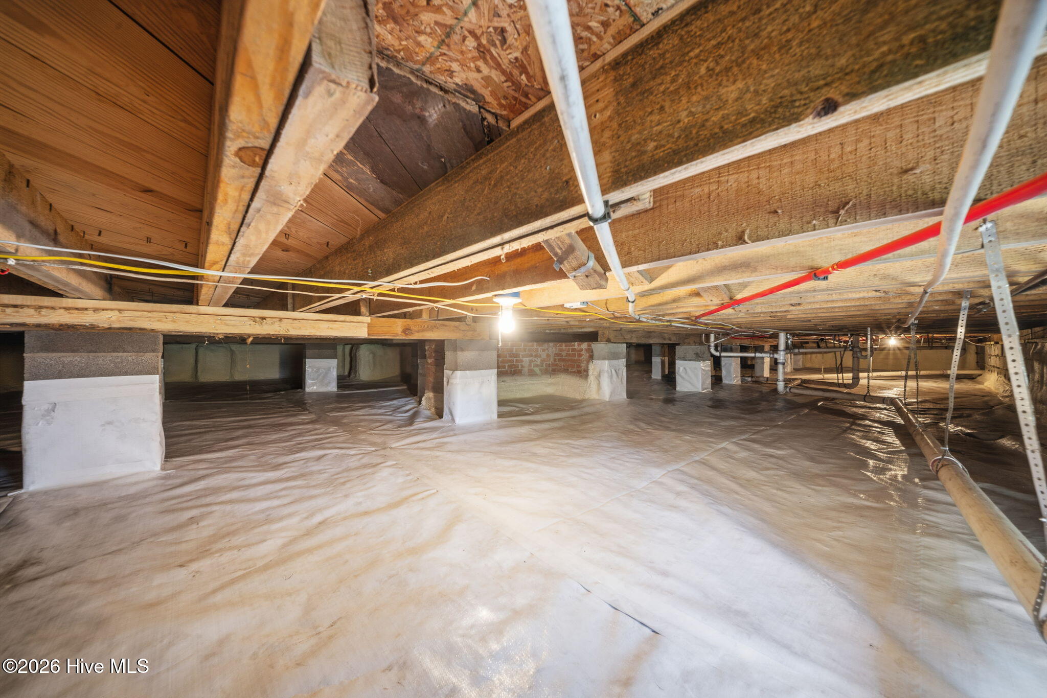 100569769 | Photo 65