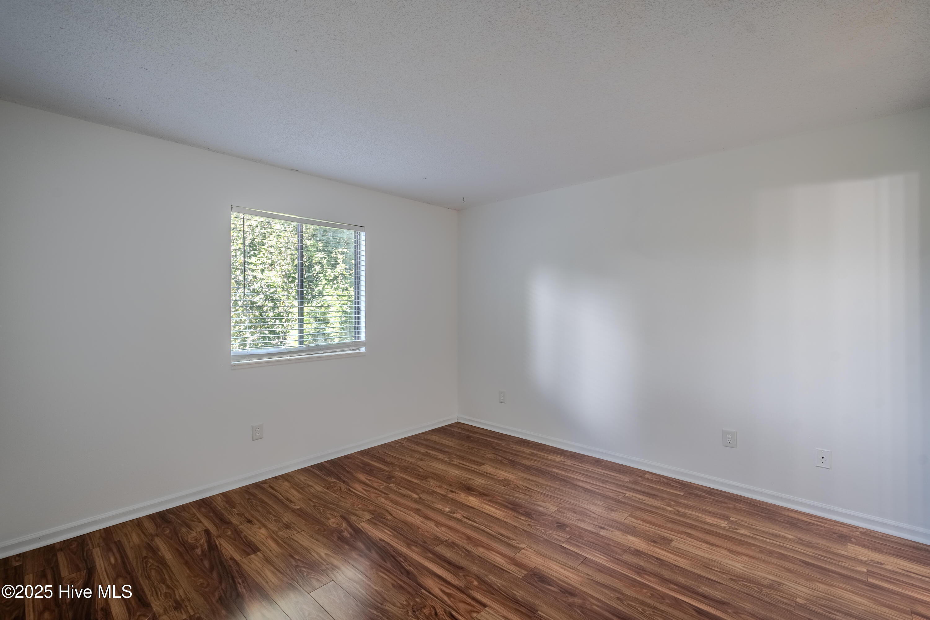 100534188 | Photo 15