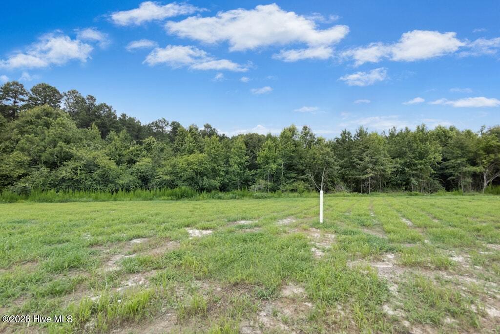 Exterior photo of 128 Hummingbird Grove Lane, Princeton, NC 27569. MLS: 100592147