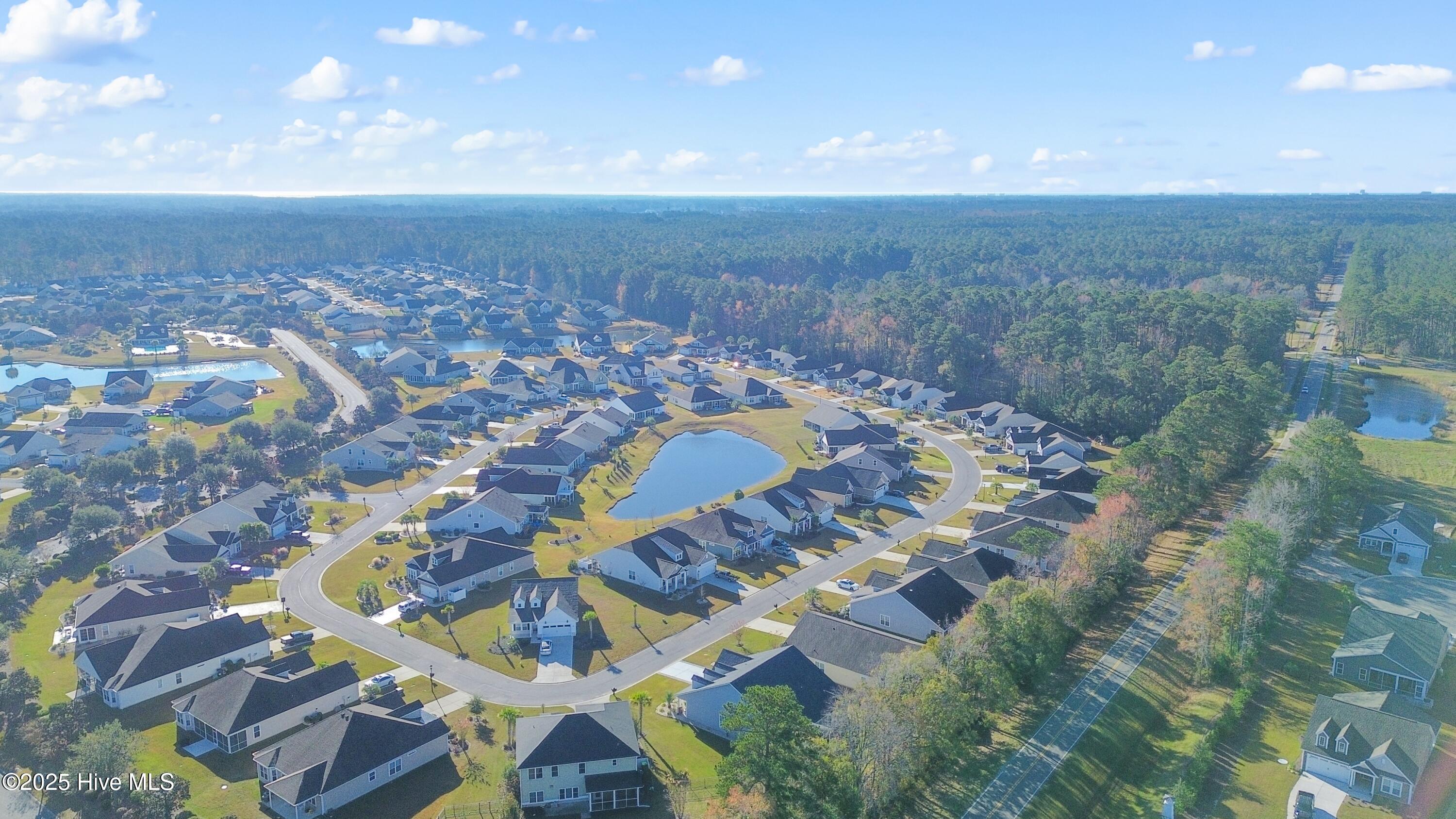 100542898 | Photo 48