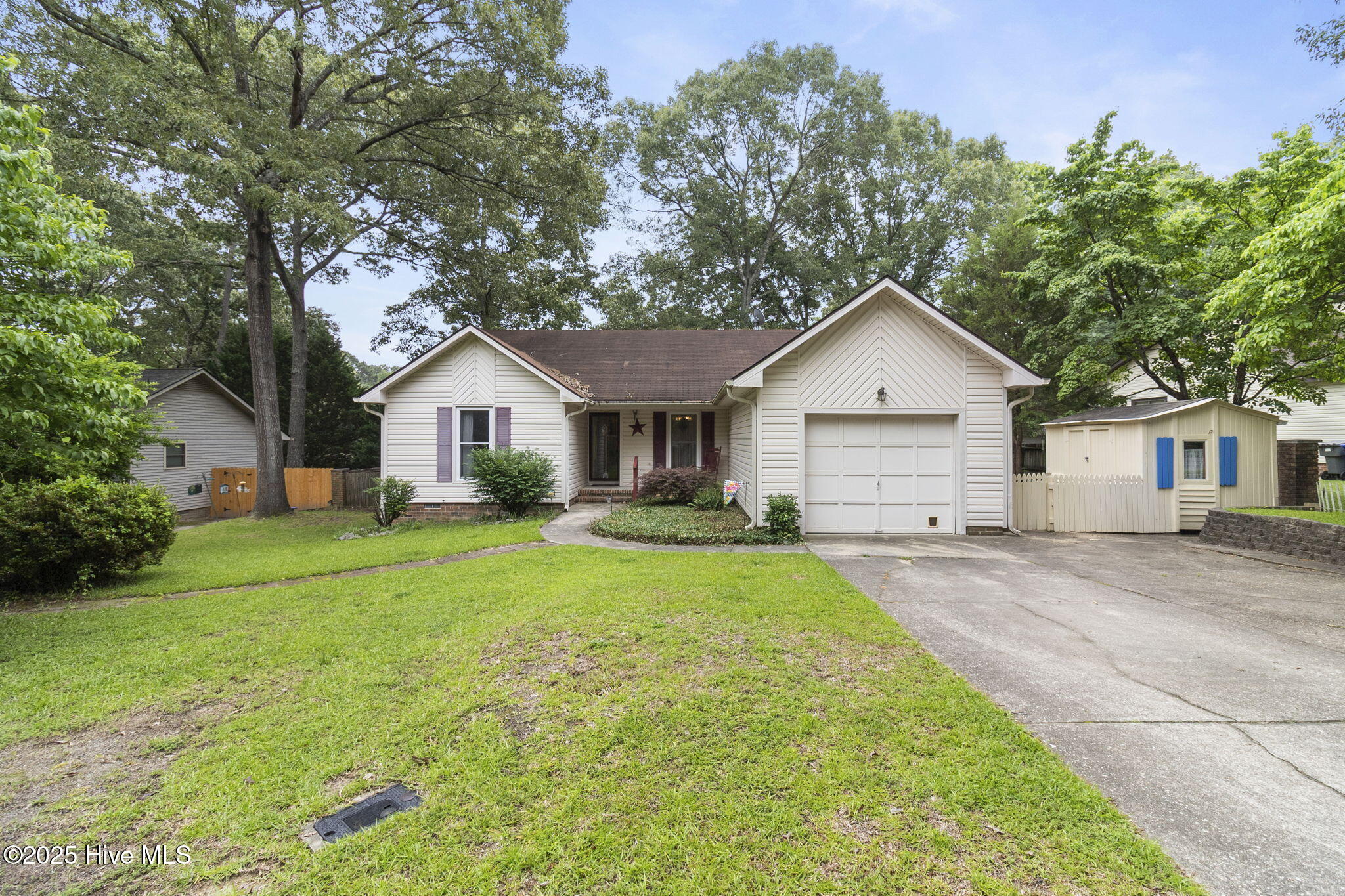 1-web-or-mls-IMG_7009