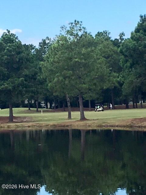 100567437 | Photo 34