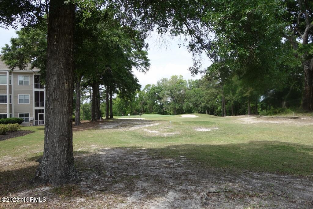 100525146 | Photo 39