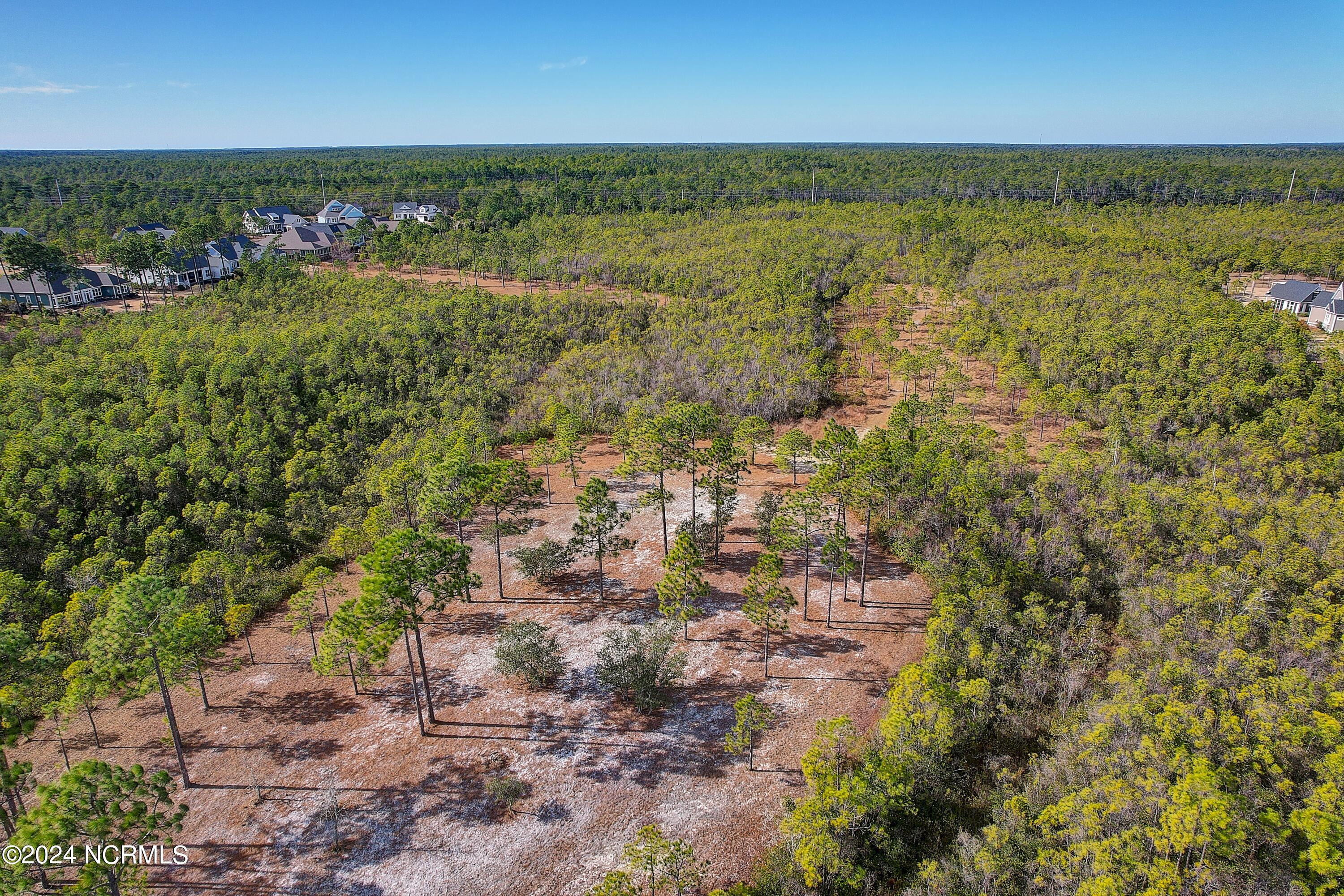 100559108 | Photo 13