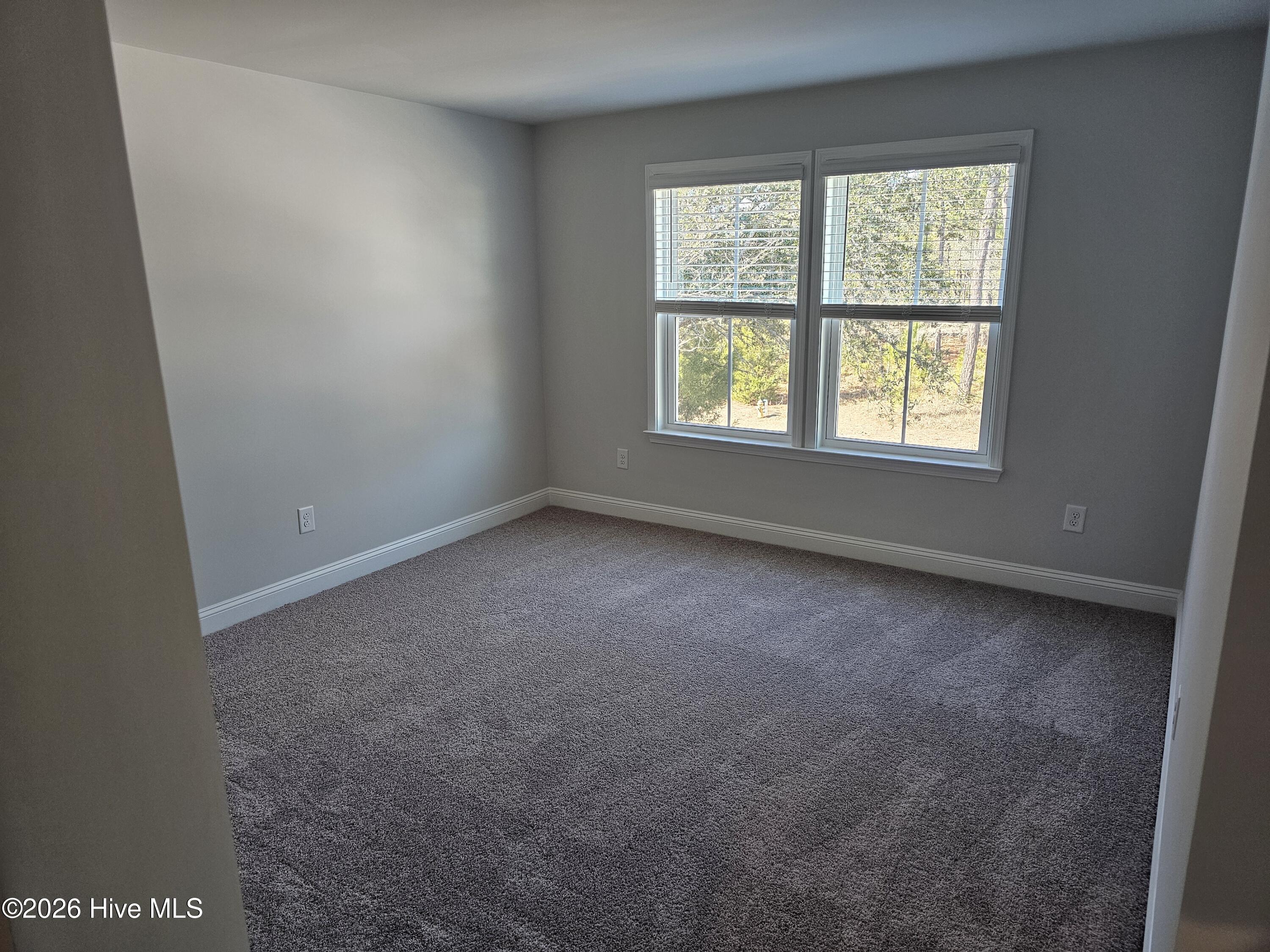 100531548 | Photo 17