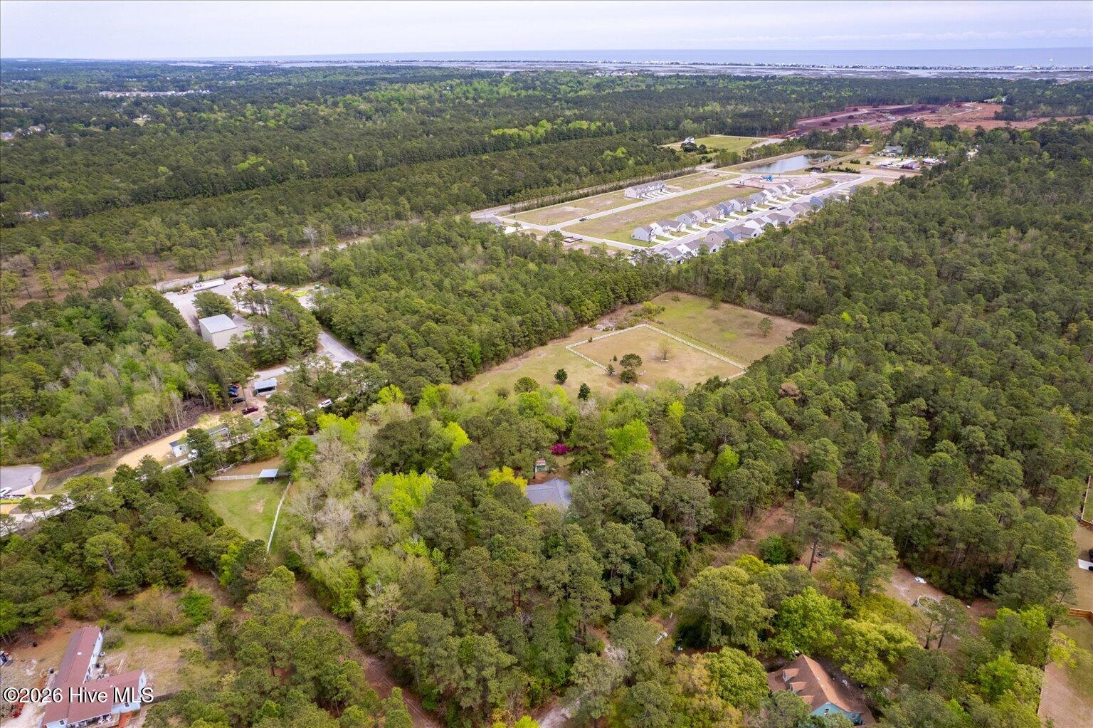 100566631 | Photo 13