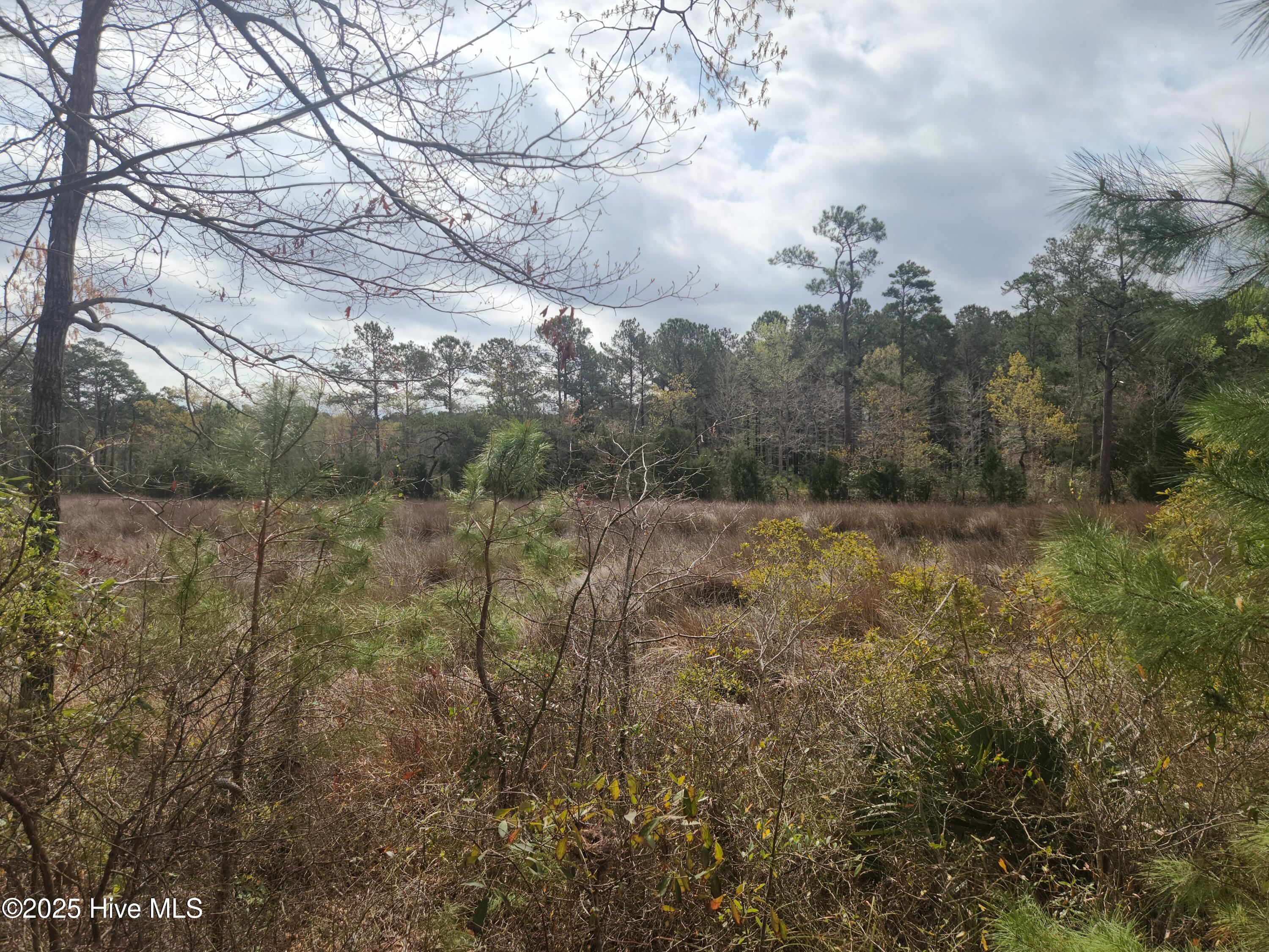 View looking up creek