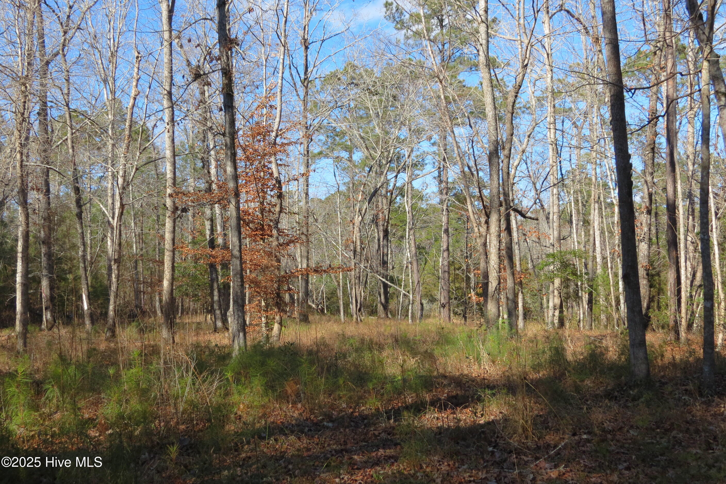 109 Winding Creek Drive, Oriental, NC, 28571