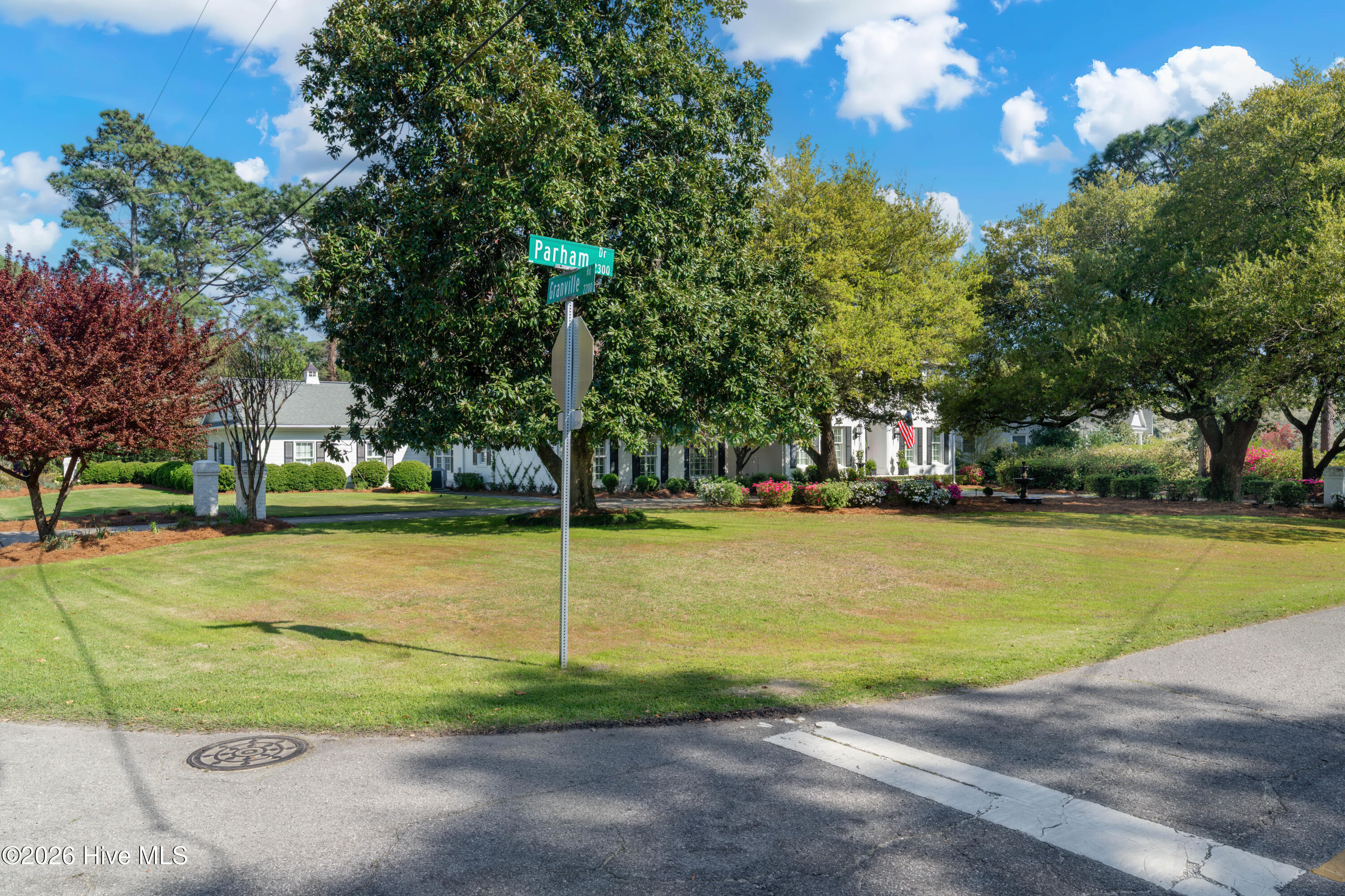 100565005 | Photo 64