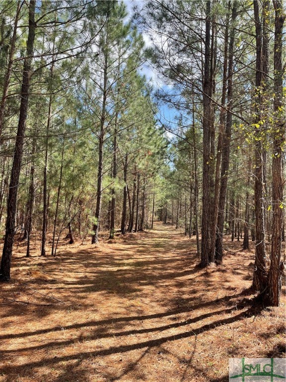 0 FISH Road, Newington, GA, 30446