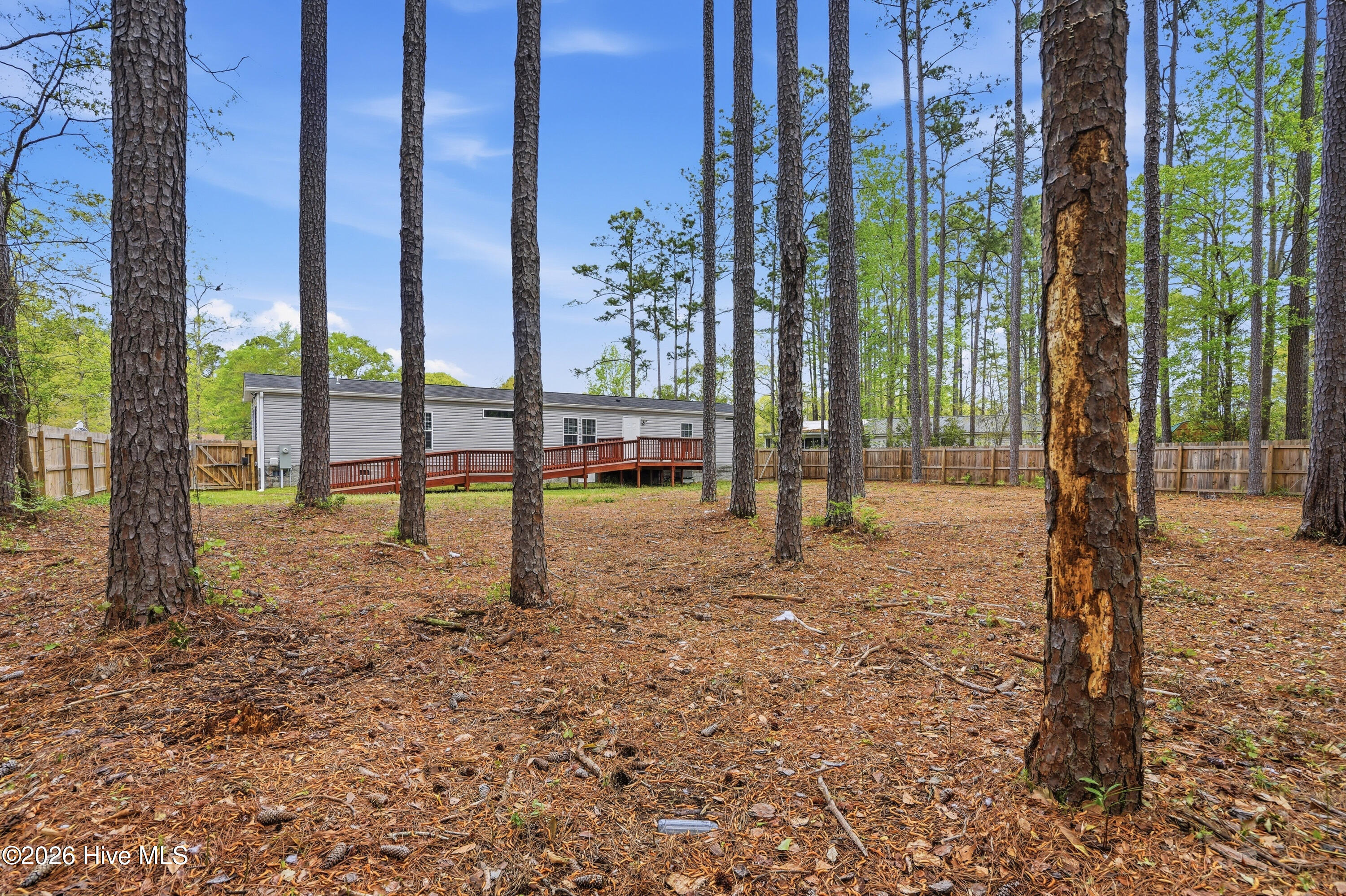 100565386 | Photo 21