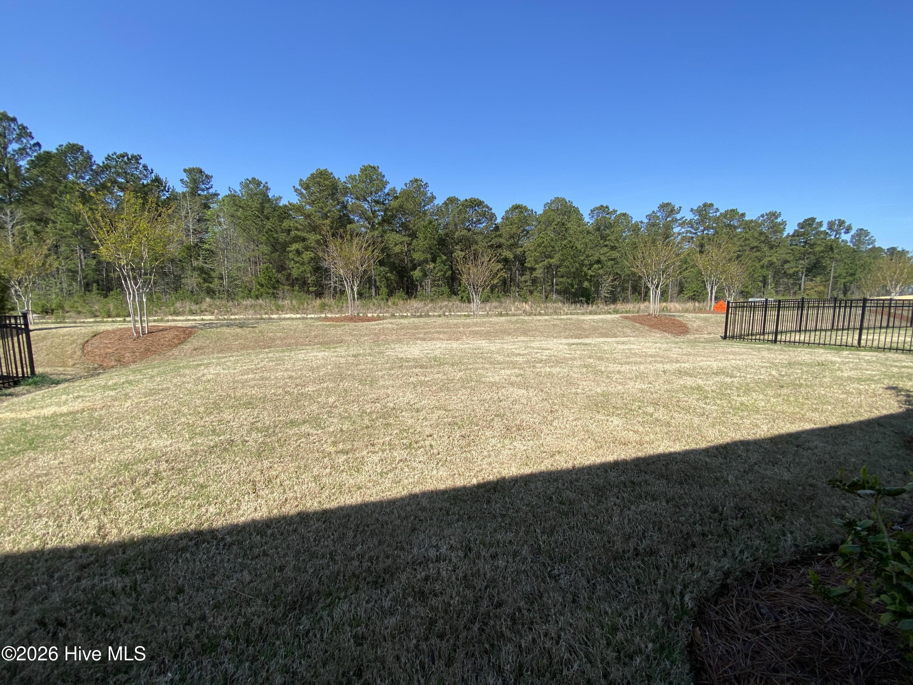 100553677 | Photo 38