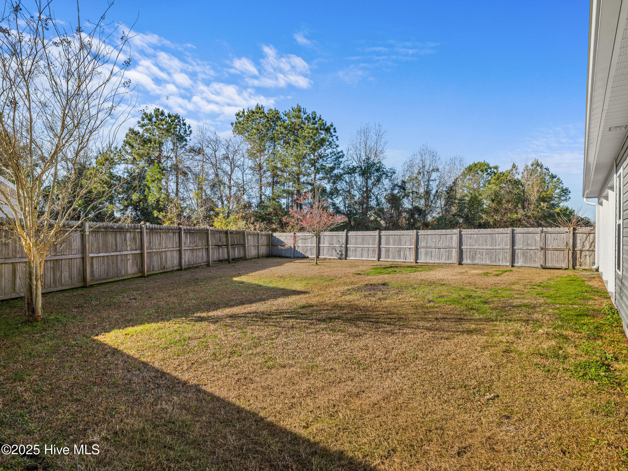 100546969 | Photo 40