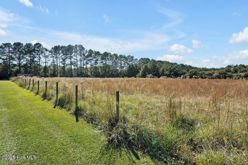 100537845 | Photo 56