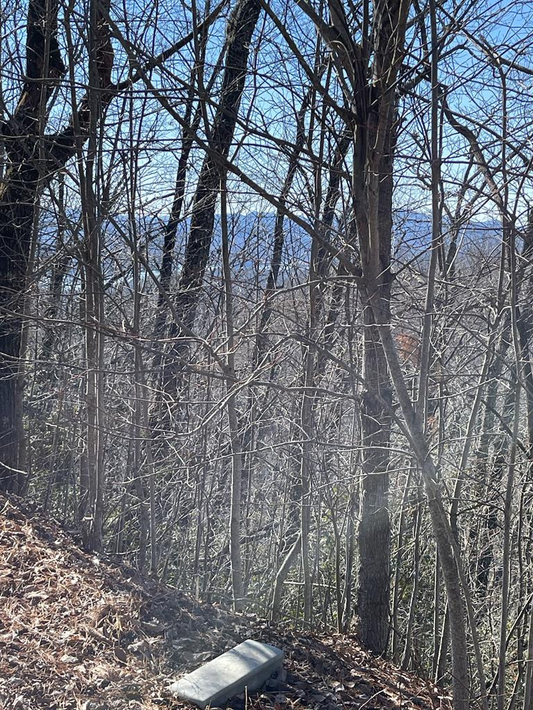 Listing Photo 98543999