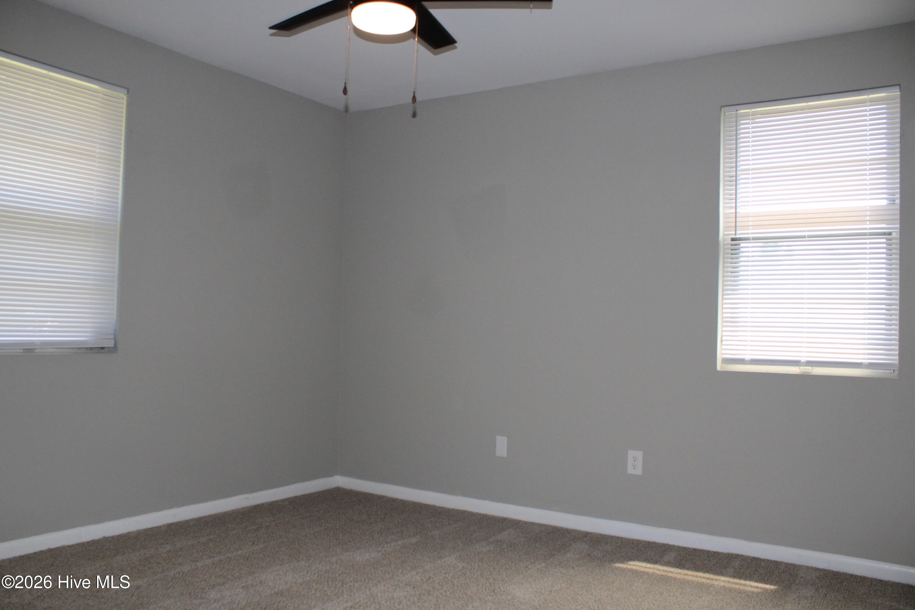 New Carpet