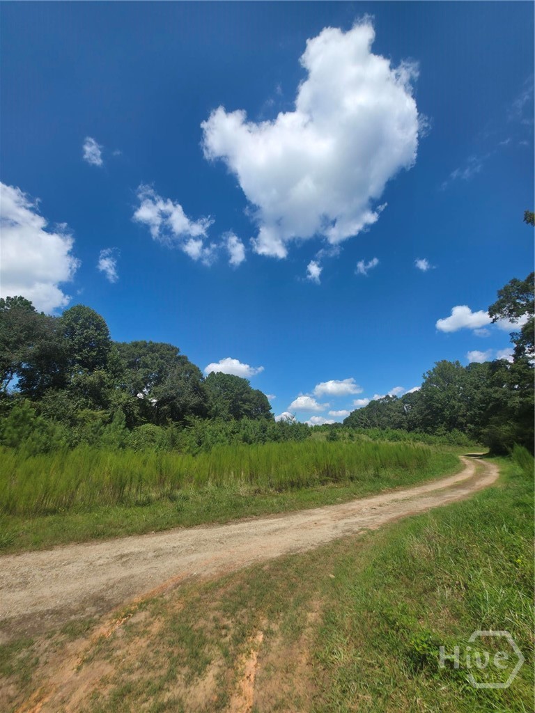 80 Charlotte, Statham, Georgia, 0 ,Land,For sale,Charlotte,CL353877