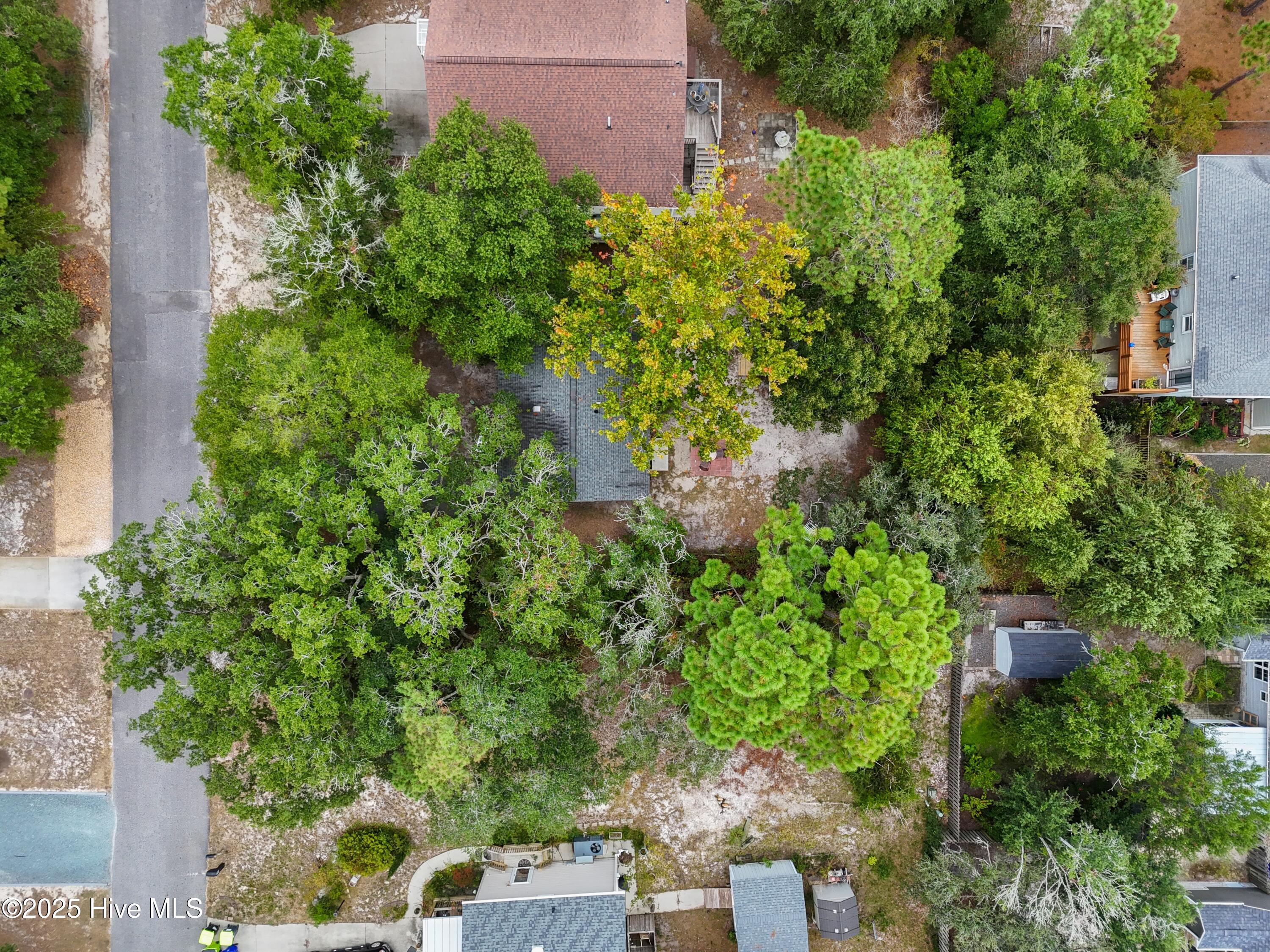 100532715 | Photo 42