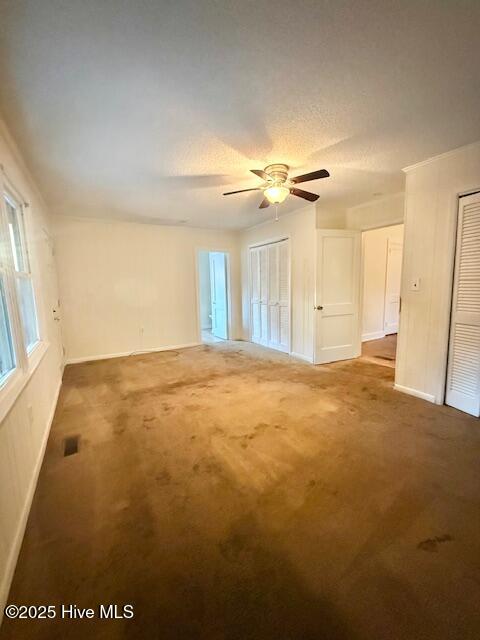 100542473 | Photo 23