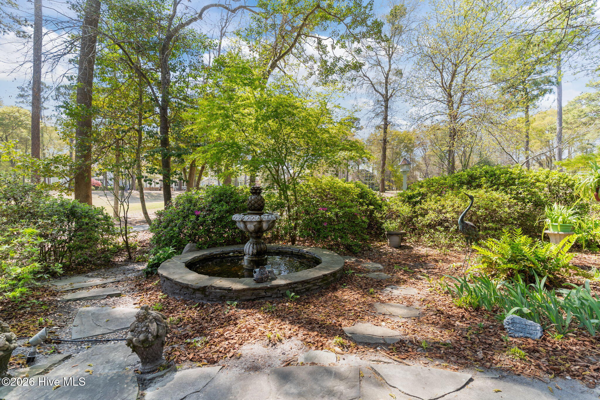 100564418 | Photo 46