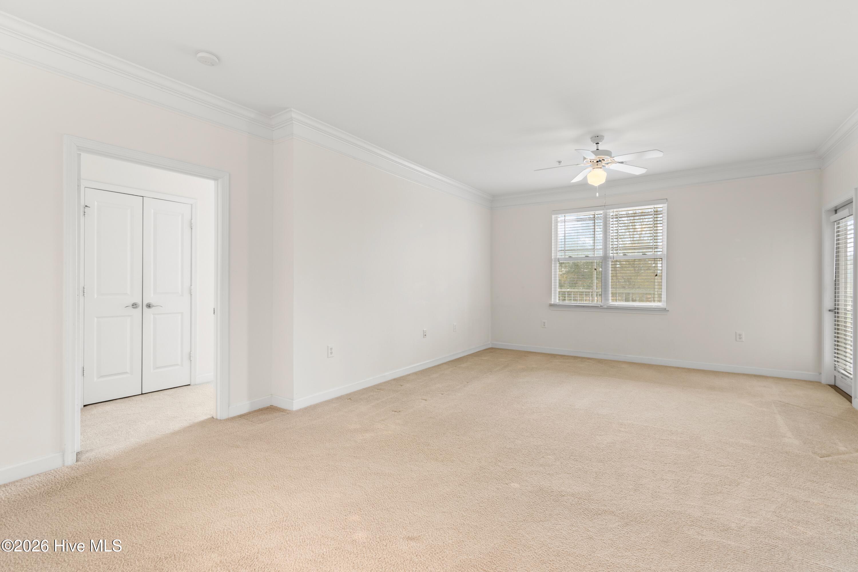 100557008 | Photo 11