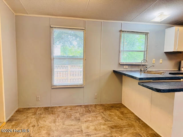 100547185 | Photo 13