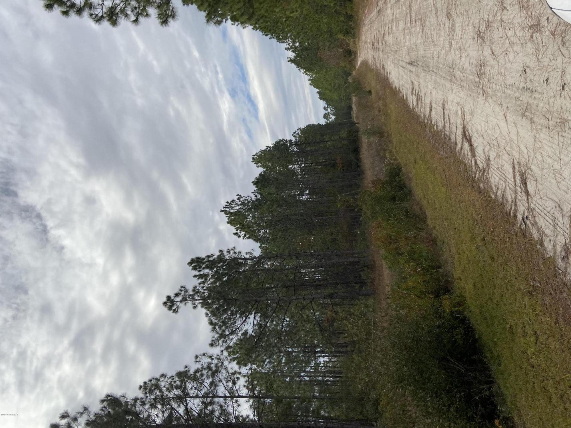 890 Wolf Pond Road, Hampstead, NC, 28443