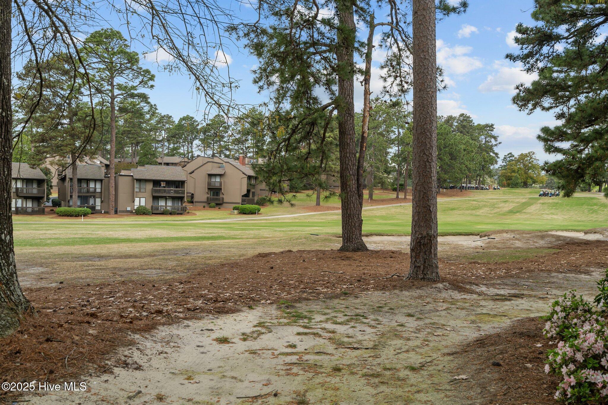 5 Pine Tree Road 211