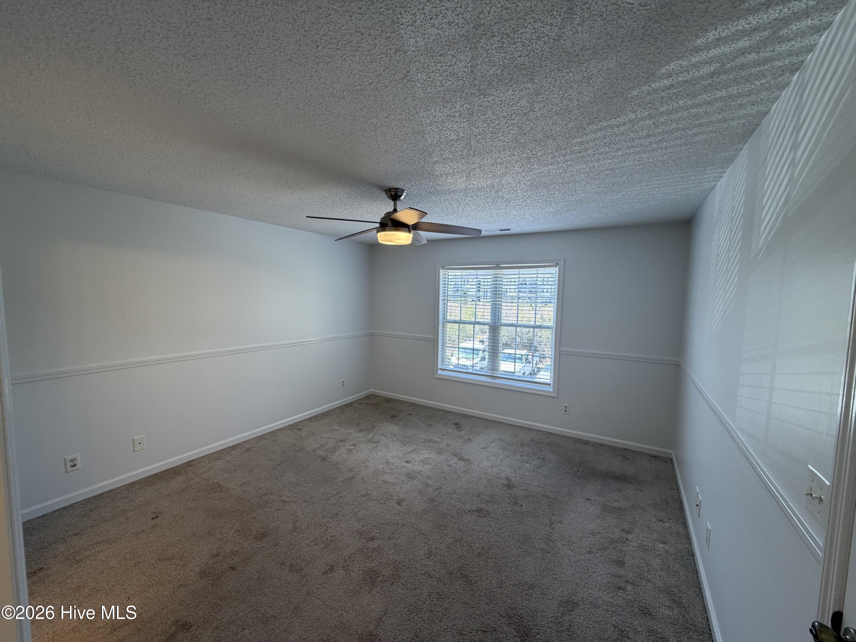 100562218 | Photo 13