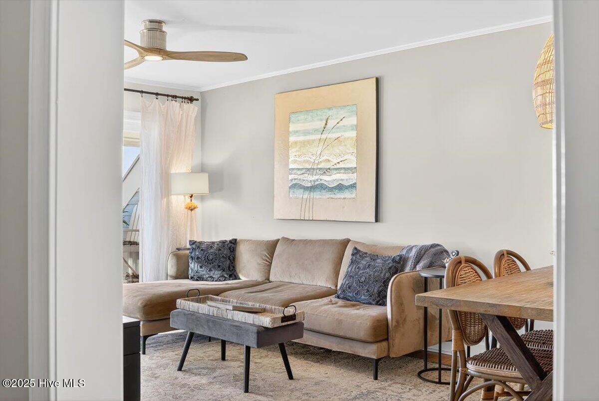 100537947 | Photo 29