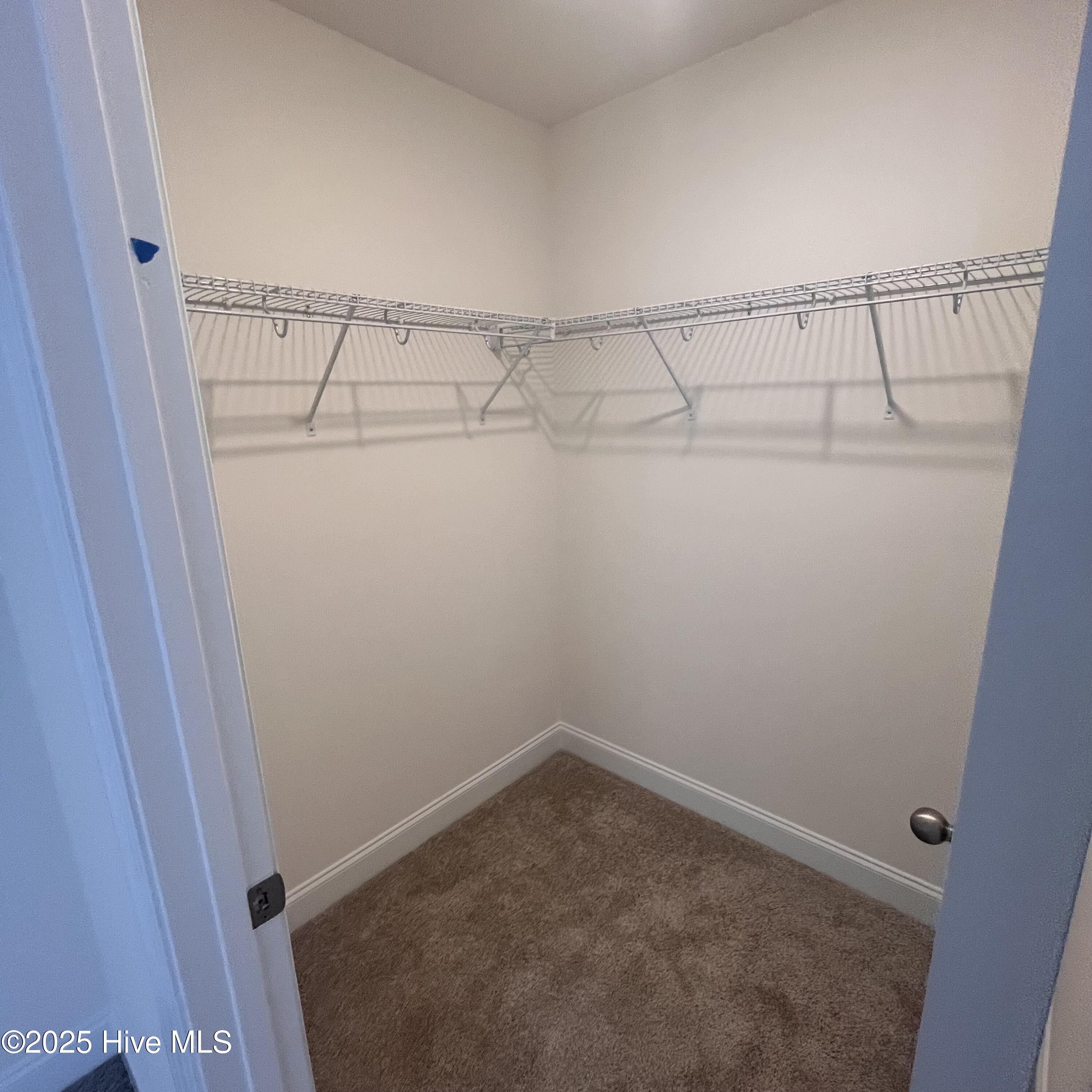 100517298 | Photo 30