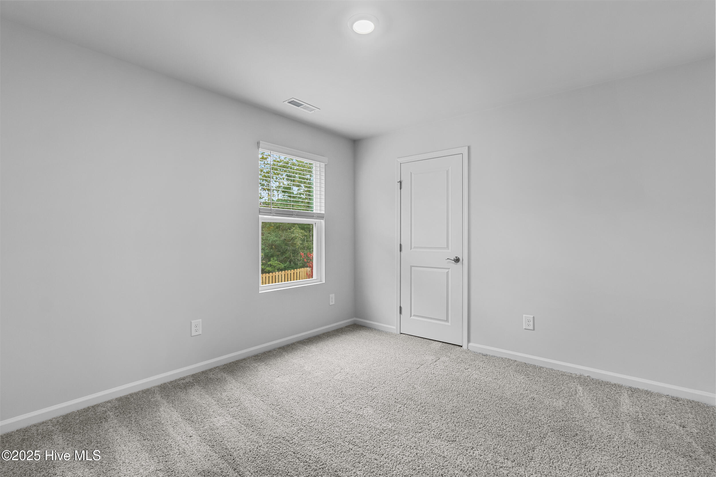 100538946 | Photo 37