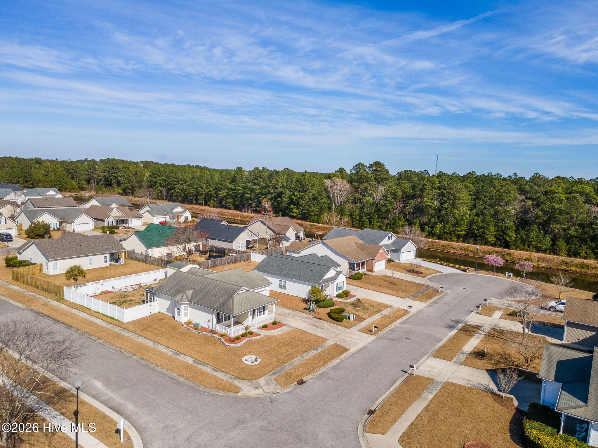 100556547 | Photo 47