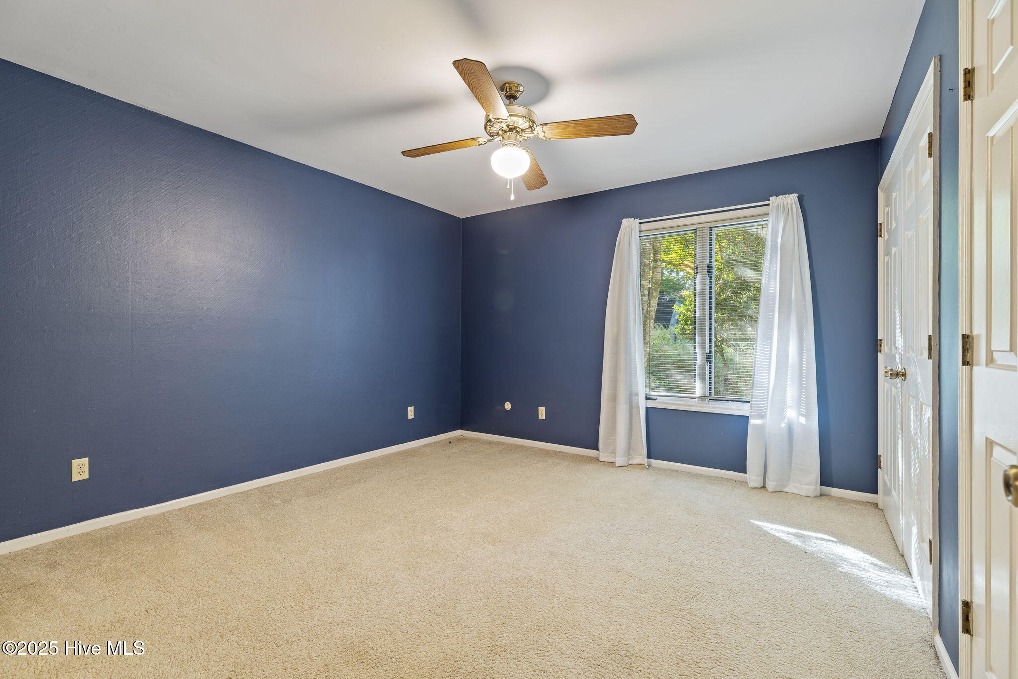 100535092 | Photo 21