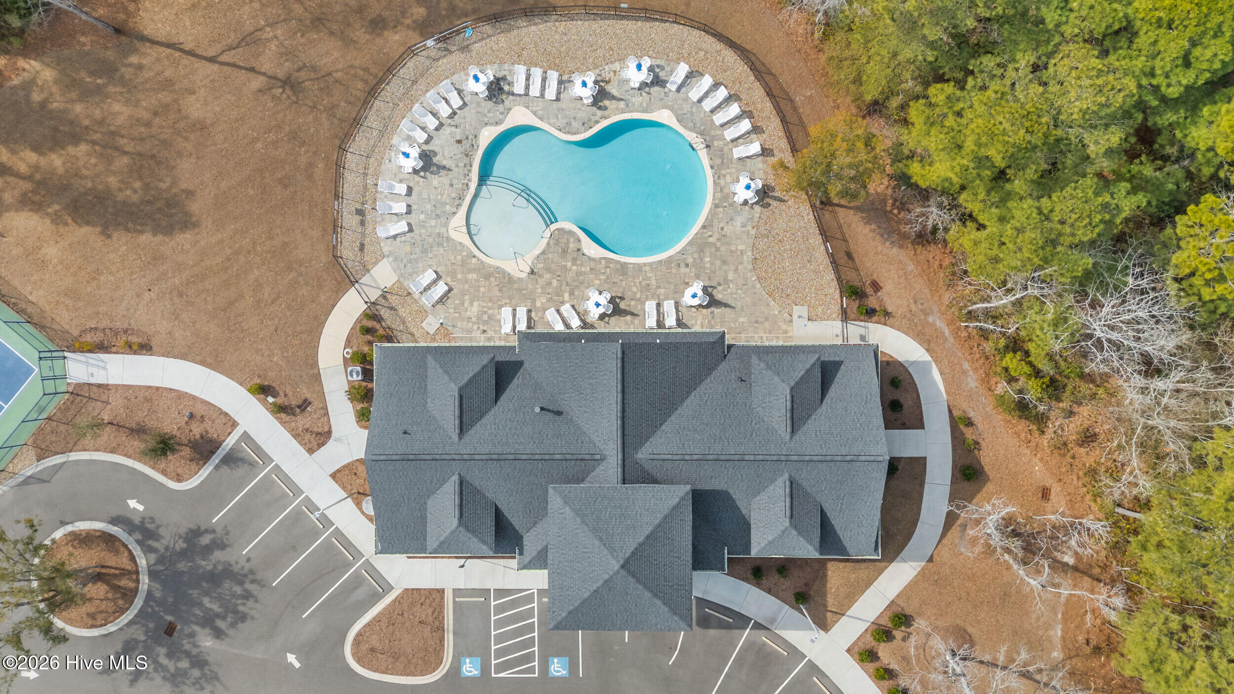 100553871 | Photo 65